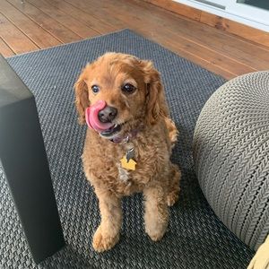 Meet your Posher, Kimberly